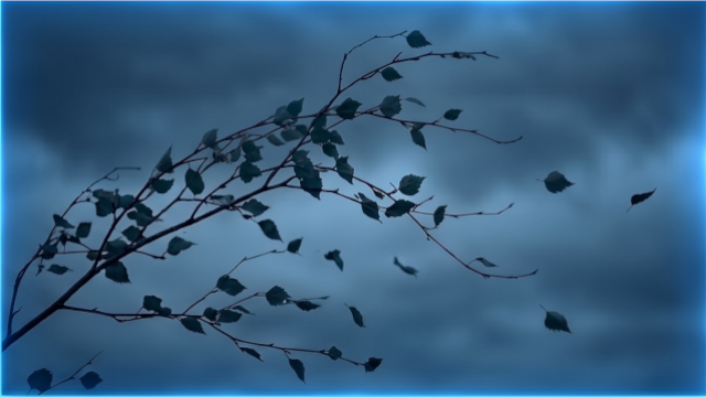 4𝚄𝚁 tweet media