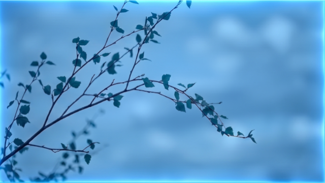 4𝚄𝚁 tweet media