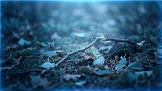 4𝚄𝚁 tweet media