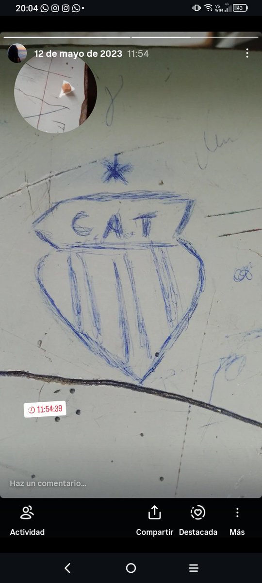 extraño dibujar el escudo de talleres en cada banco que me tocaba en el colegio (deben haber como 40 bancos dibujados) (ahora q lo pienso r negra)