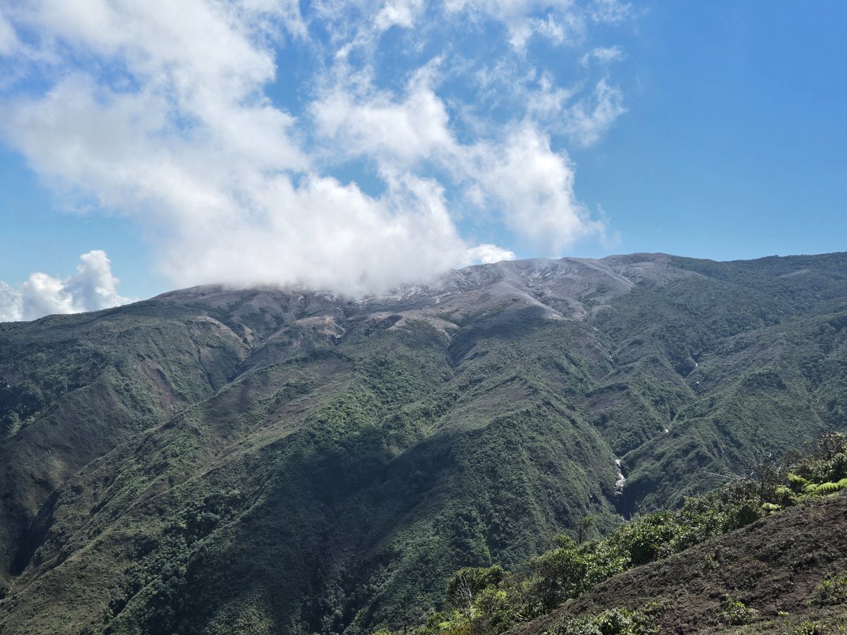 Poas con Lila - De San Luis de Grecia a Trojas de Sarchí, 15 kms, 5 horas y ~900 metros de desnivel. Que siempre pueda seguir llenando mi vida de montañas.