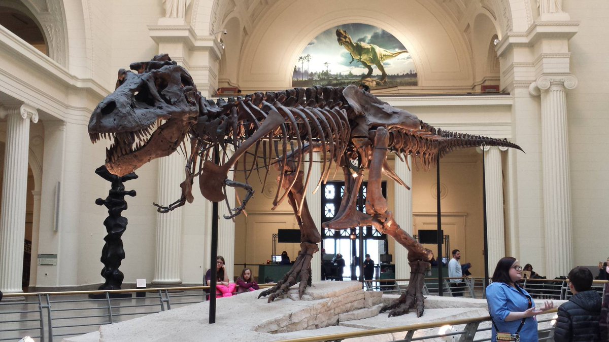 eVisitorGuide's tweet image. Explore Museum Campus on our #FREE self-guided walking tour! Learn about @AdlerPlanet, @shedd_aquarium,@FieldMuseum, Northerly Island and @SoldierField . evisitorguide.com/chicago/metrow…. #Chicago #museums #sightseeing #budgettravel #travel #tours #walkingtours #SightseeingMadeSimple.