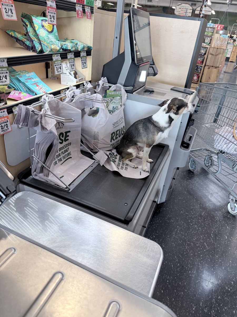 jordo_okc's tweet image. I wonder where the barcode was on this item? #priceless