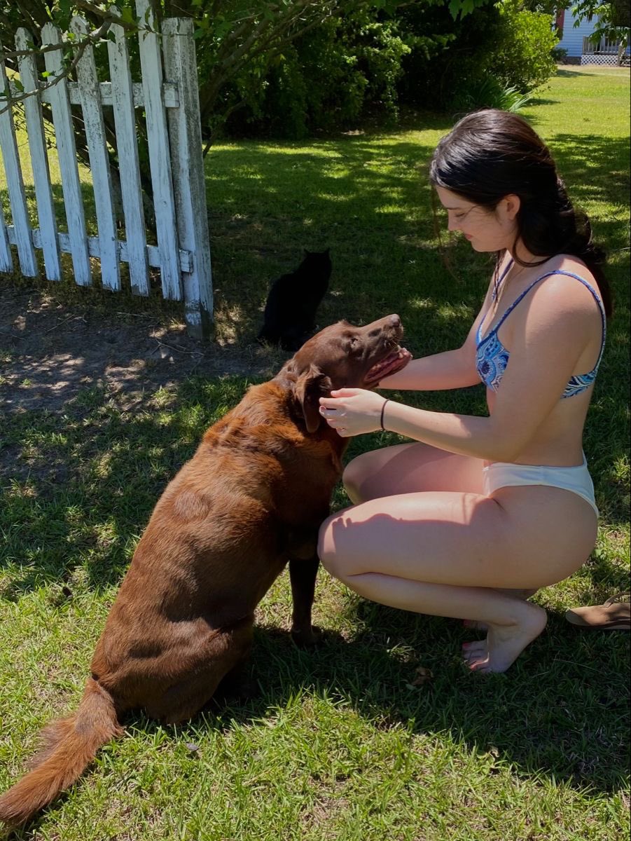 Adogknotting's tweet photo. Are you into watching beautiful women get a little wild? If yes, send me a DM through the link below for some exciting content 👇👇👇

https://t.co/v4tScmhtDj https://t.co/QquaWOXEJU