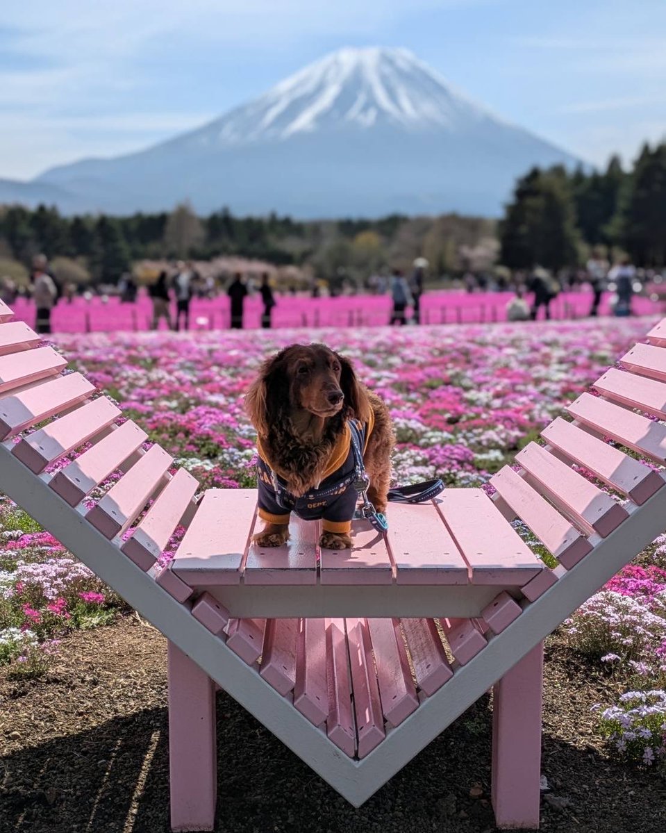 キースのママ😊 tweet media