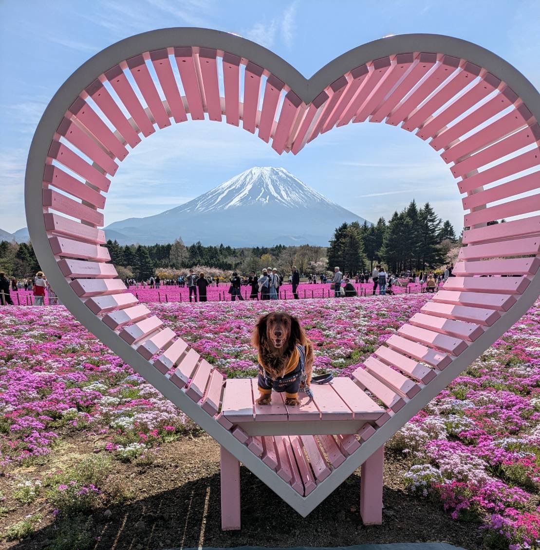 キースのママ😊 tweet media