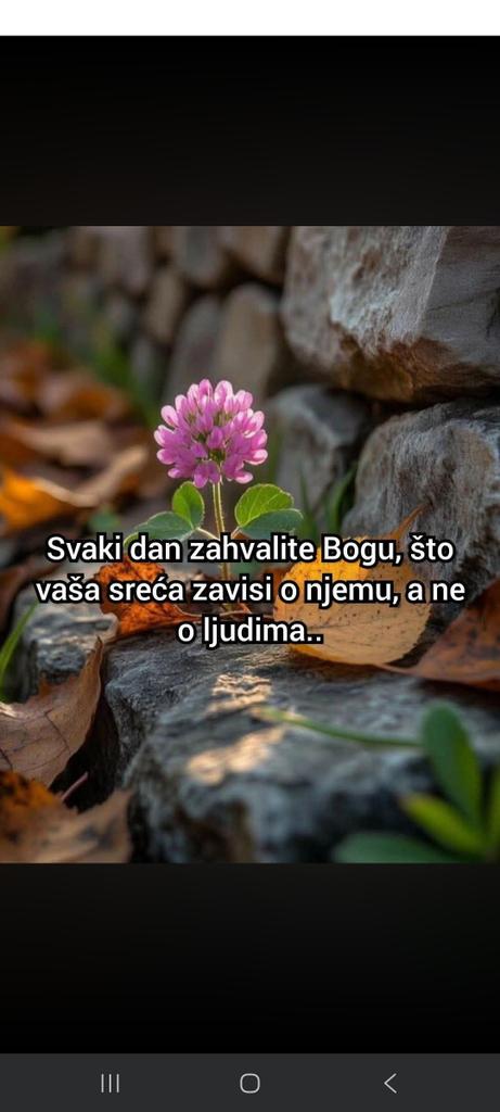 SenadDzankovic's tweet photo. 🙏☝️🙏☝️🙏☝️🙏☝️🙏 https://t.co/LFlSz2mIc2