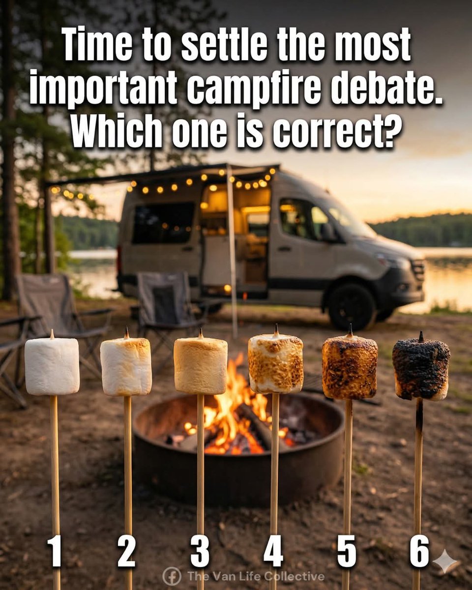 Airfemale 🇺🇸 🦅 tweet media