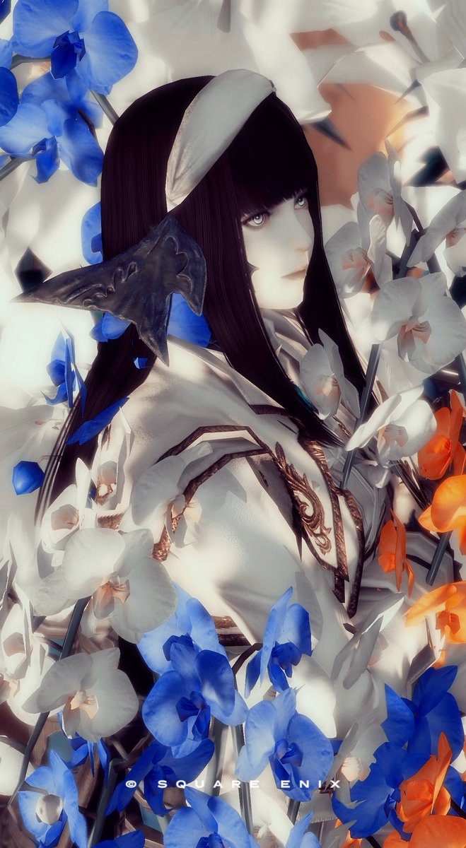 ₊ 𓂃 𝘰𝘺𝘶𝘪 𓂃 ₊ tweet media