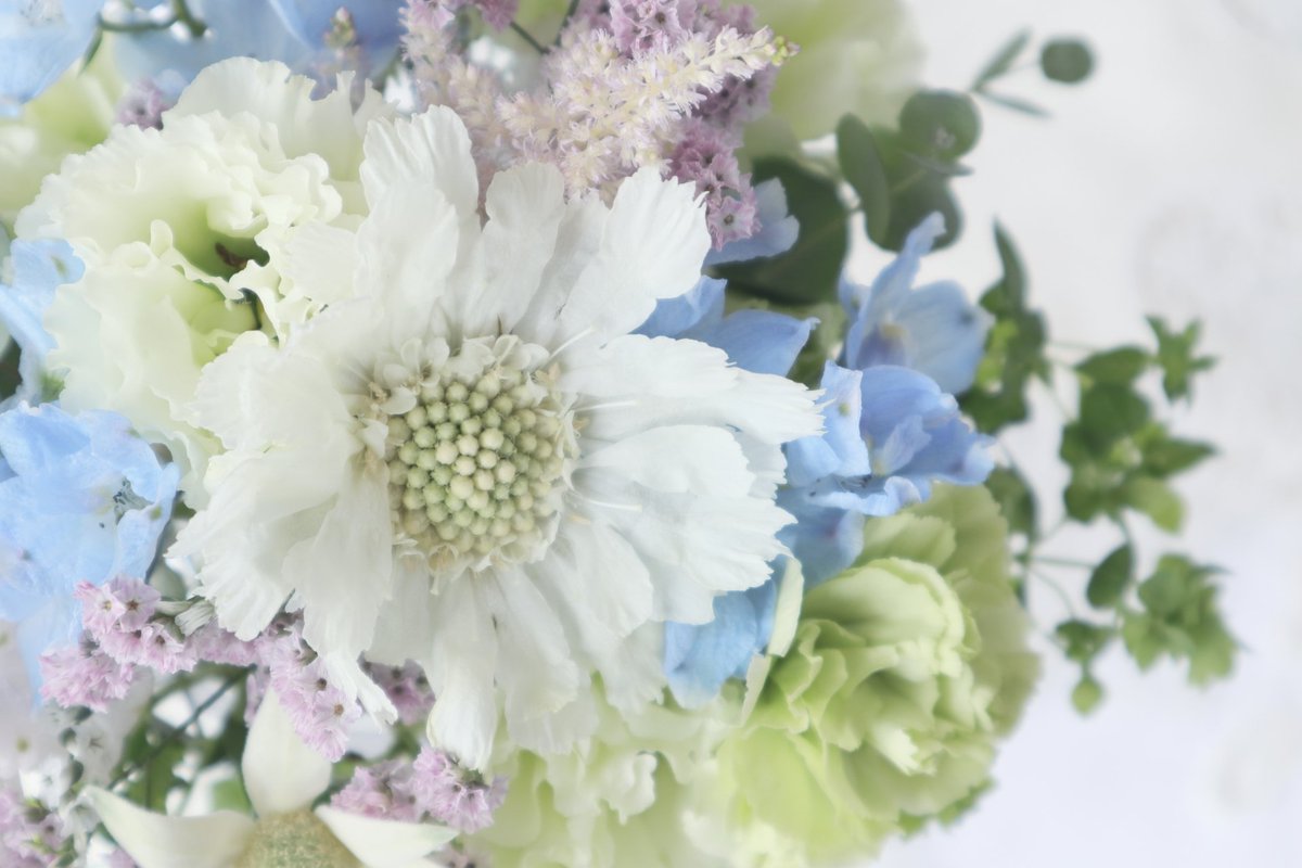 ハナラボノート tweet media