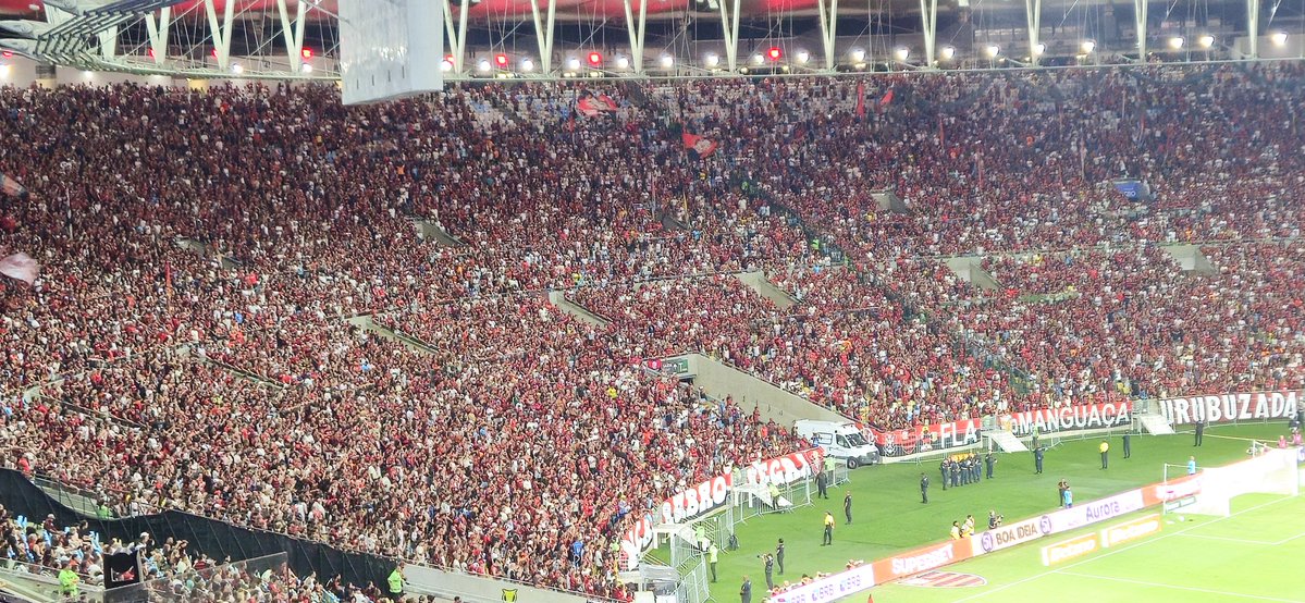 Equipe @fimdejogo tweet media