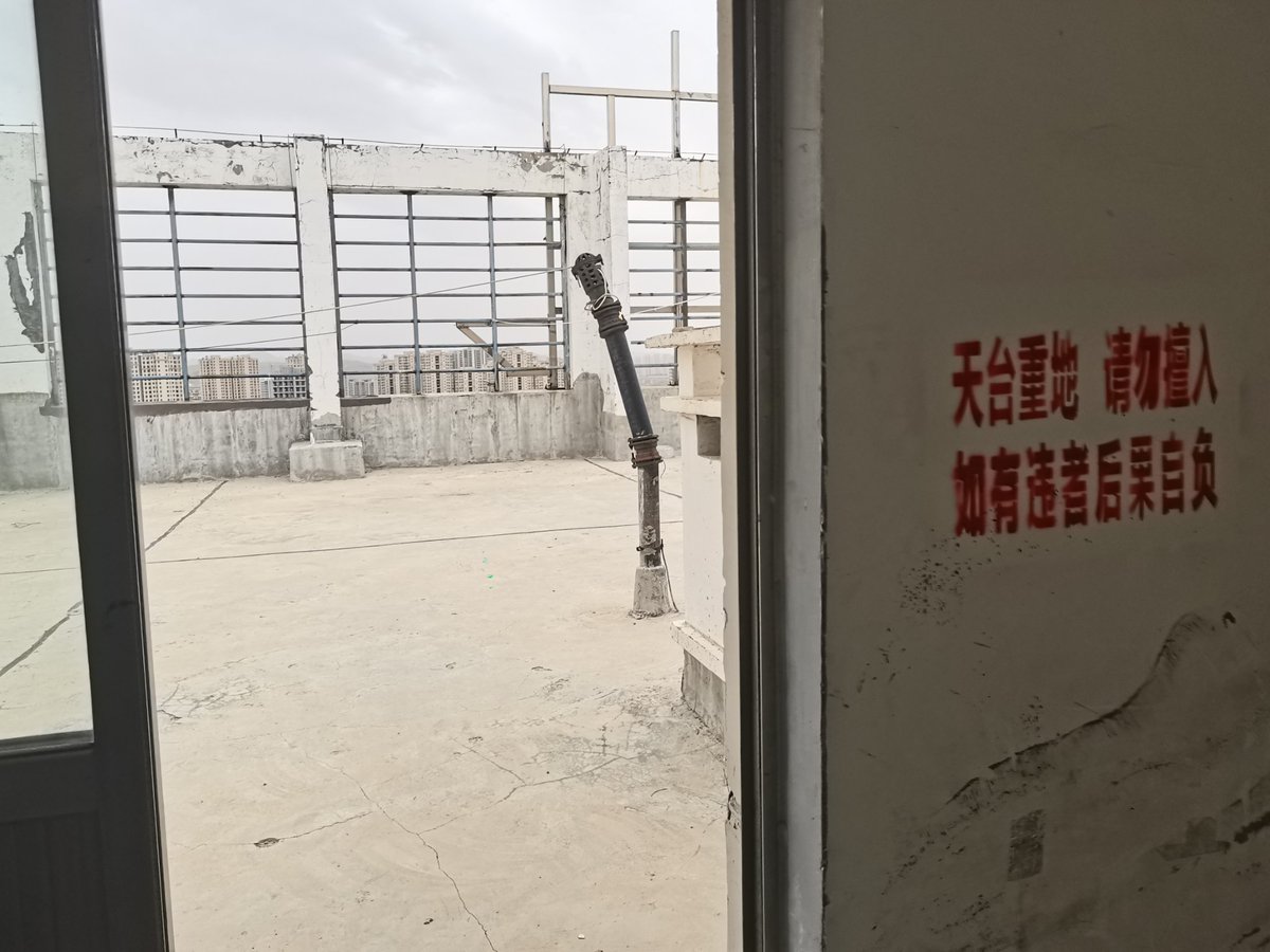 🦐虾球🍥🏳️‍⚧️ tweet media