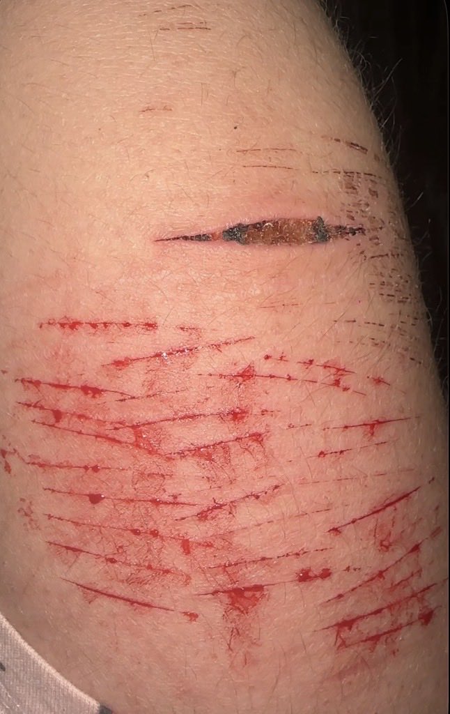 ˚⟡˖ ࣪Rainbow Dash of shedtwt ˚⟡˖ ࣪ tweet media