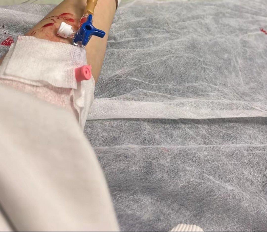 Dilan Güneş tweet media