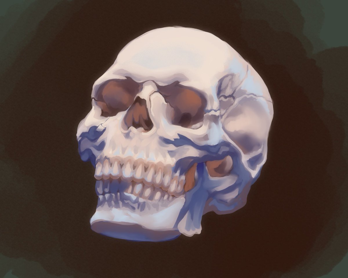 𝔢𝔳𝔞 ♰ 𓃹 tweet media