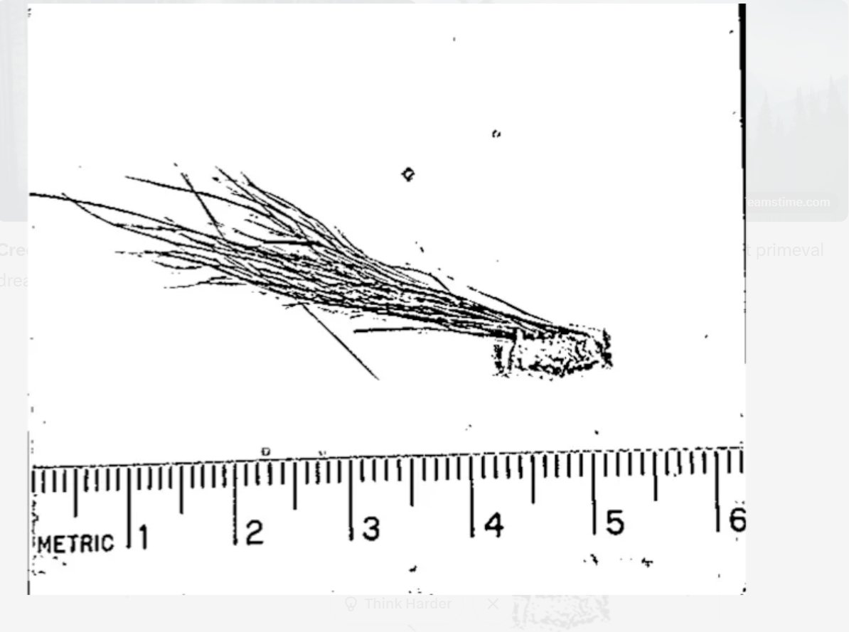 Tony Seruga tweet media