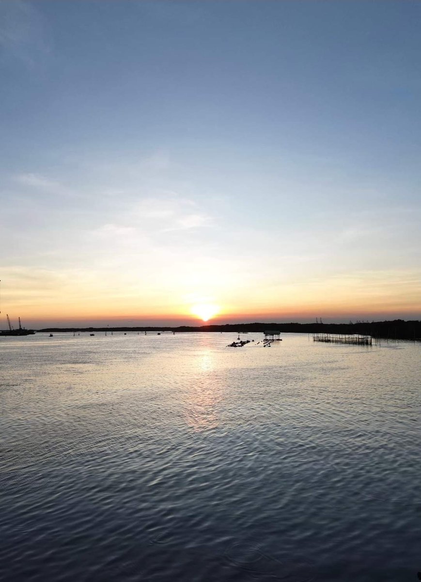 Mar 🐾🐉 tweet media