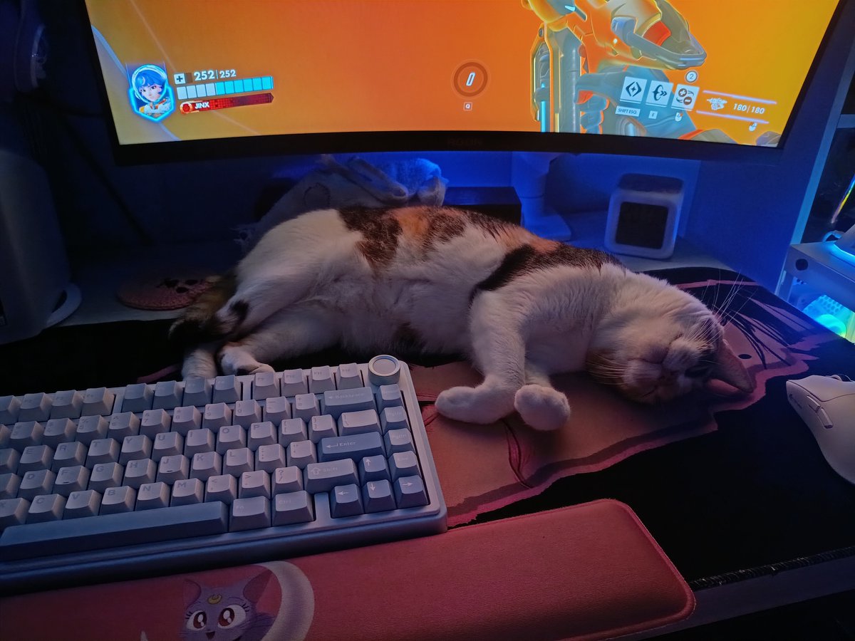 flins ✨ tweet media