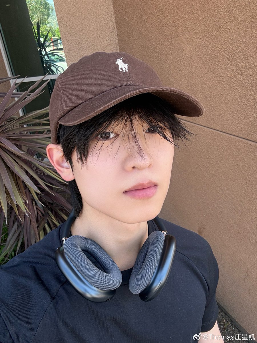 teetut archive tweet media