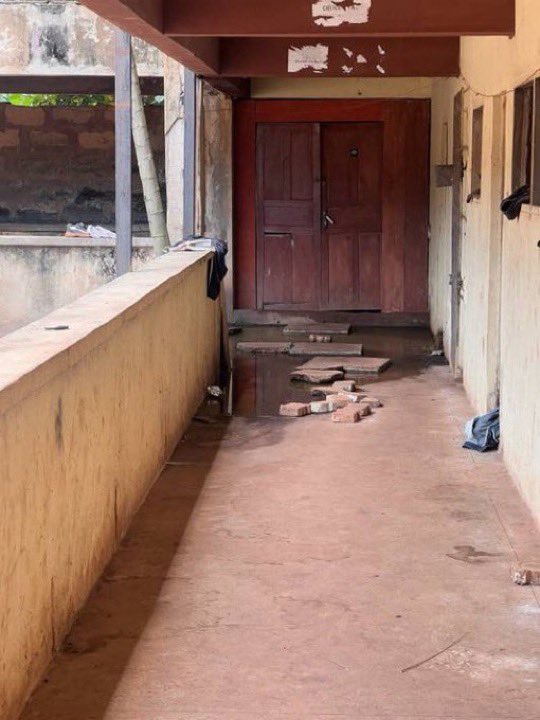 Bia Pulse tweet media