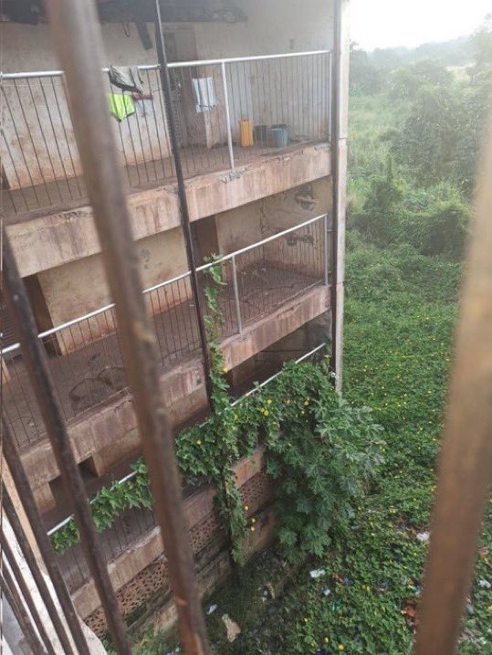 Bia Pulse tweet media