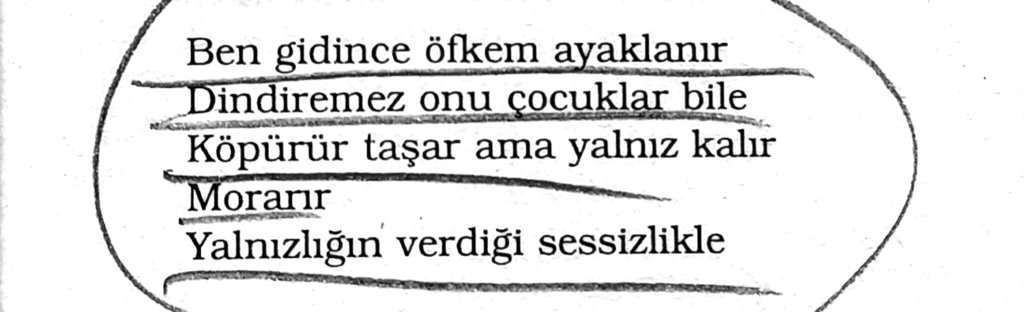 "Dindiremez onu çocuklar bile"

Süreyya Berfe 🪾