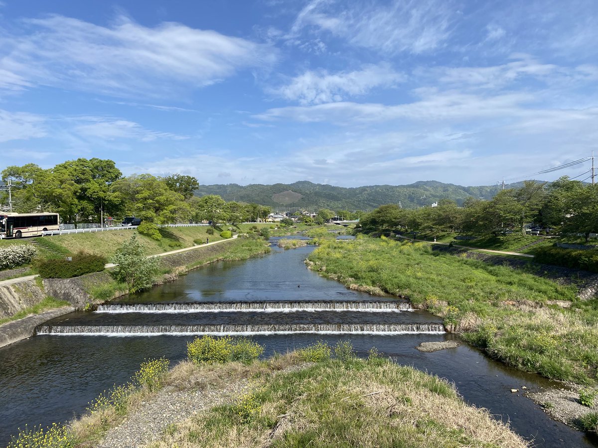 かもかも会 （京都 賀茂川） tweet media