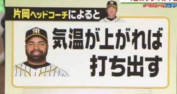 スマートヒッター(陳腐なき忌憚なき) tweet media