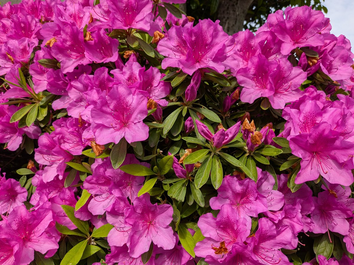 おはようございます☺️
やっぱり休むと体が楽になるなぁ😂
今日も暑くなりそう🔥
また１週間頑張りましょう🦾