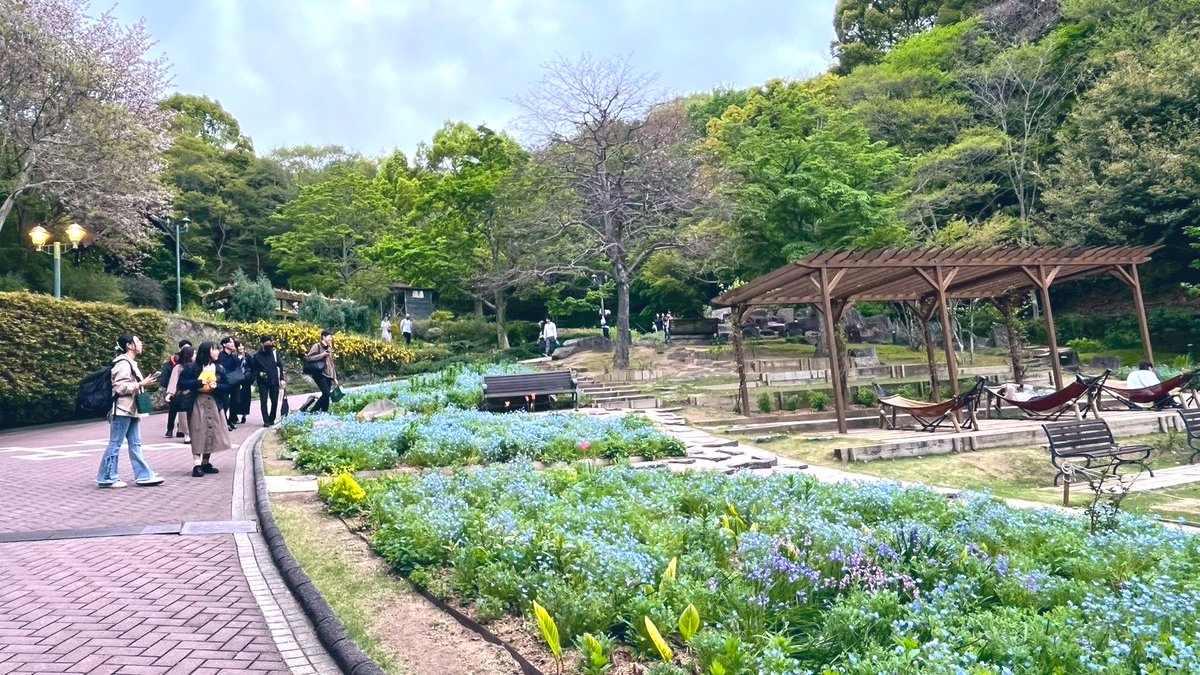 「Le Mille Feuille 春らんまんコンサート」は無事に終演いたしました🌷

暖かい日差しのなか、色とりどりの花々に囲まれた最高の会場で歌声をお届けでき、幸せなひとときでした😌✨

足を運んでくださったみなさま、誠にありがとうございました🌿