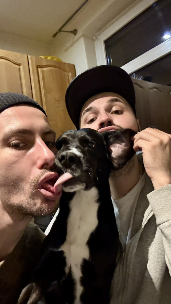 Глубокая Молодость (@haobab1) on Twitter photo 