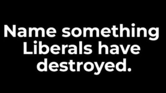 Trumplicans2024.com tweet media