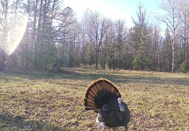 MasMattIsback tweet media