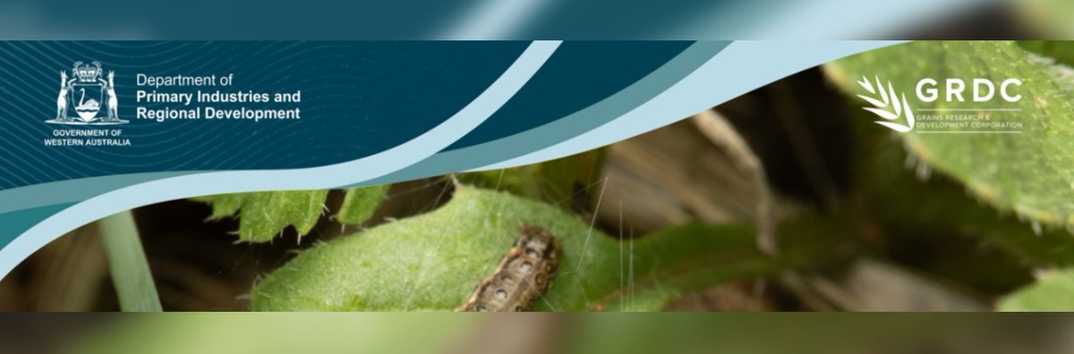 GRDC West tweet media