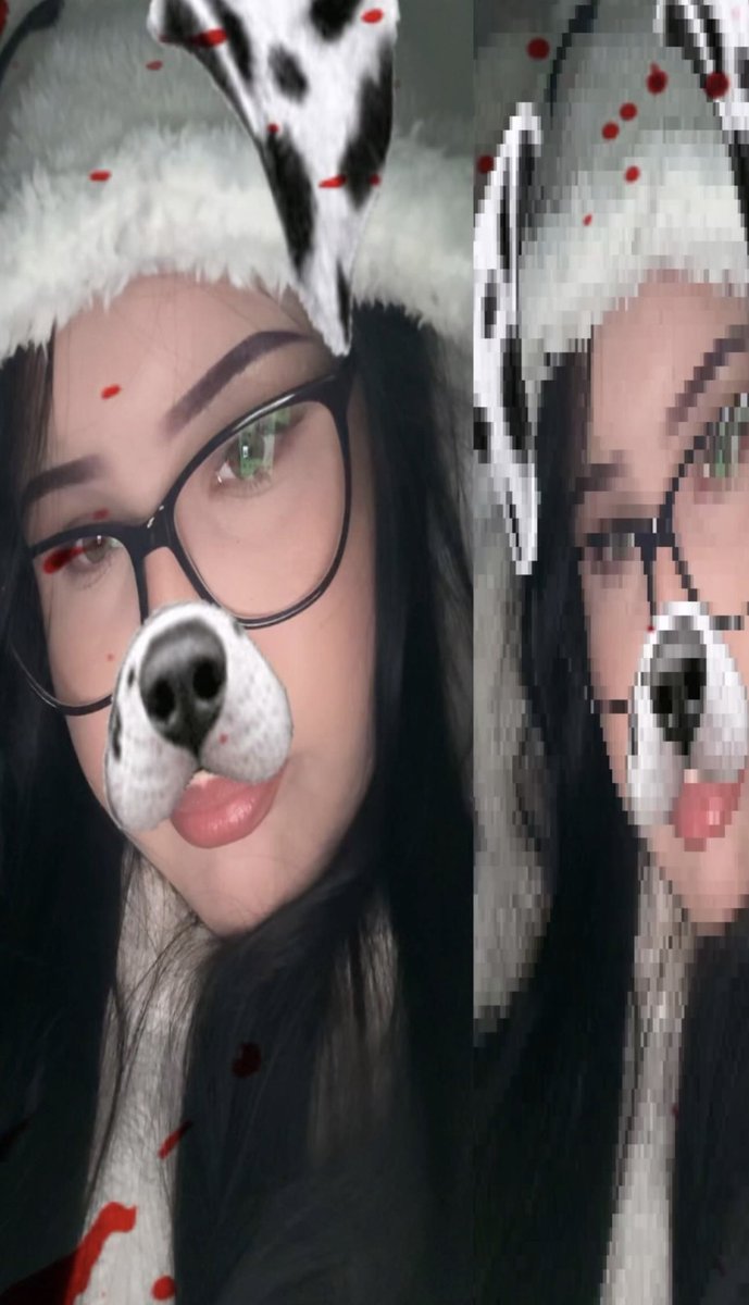 kitty tweet media