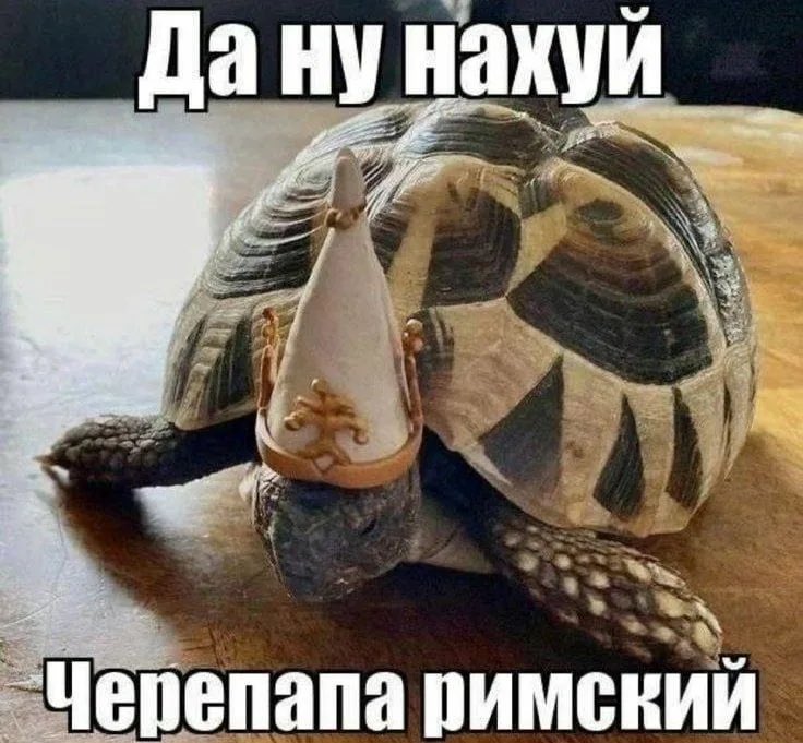 bruhl0_'s tweet photo. https://t.co/NAAxTJX2xb