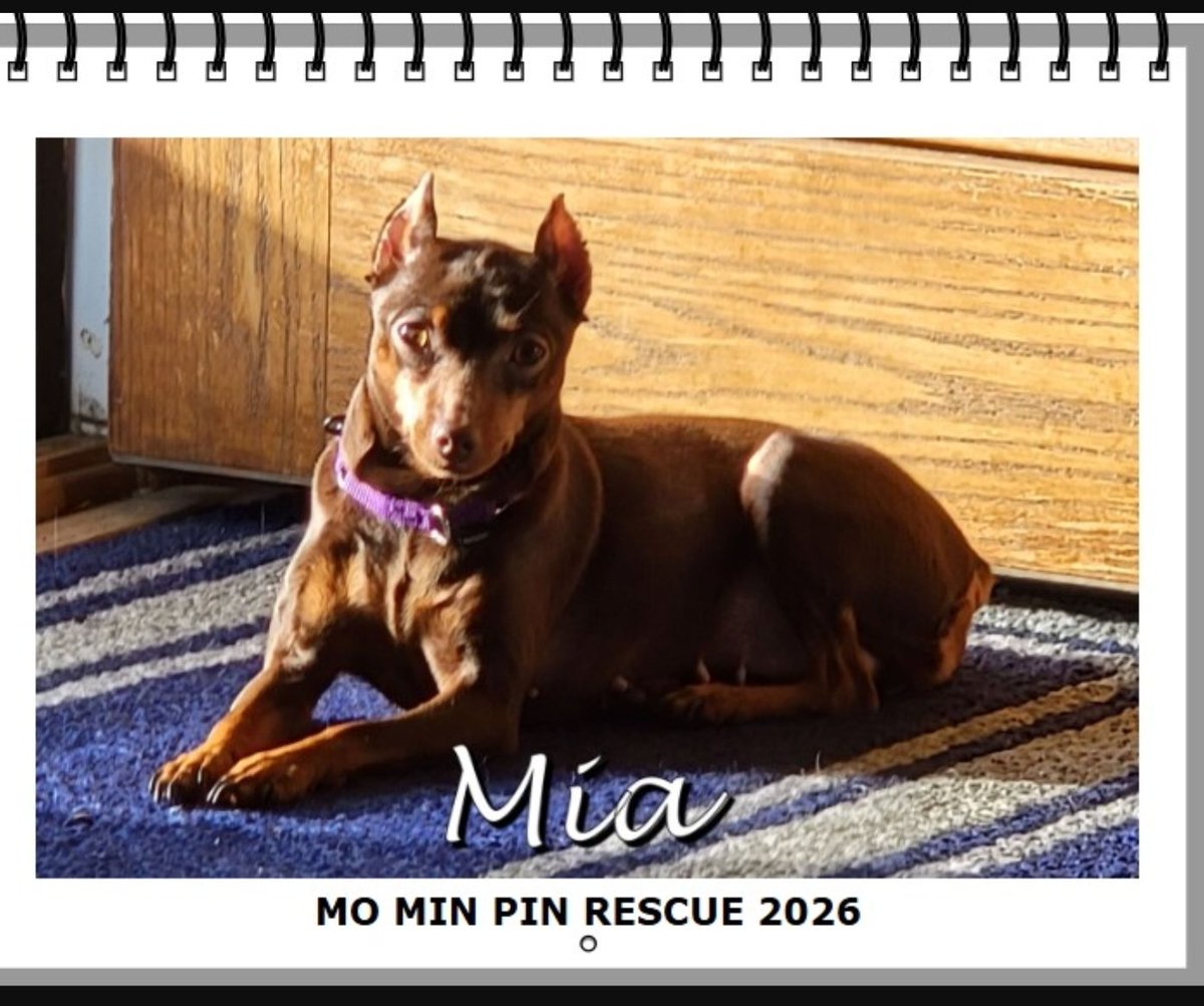 JudyBlueEyes tweet media