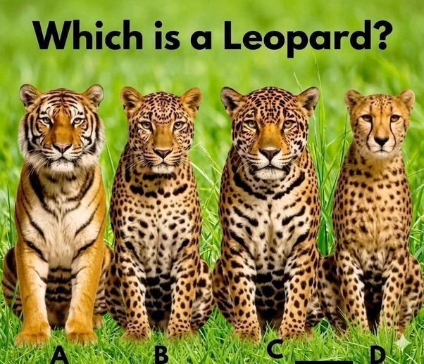 gold is not hard | kairos tweet media