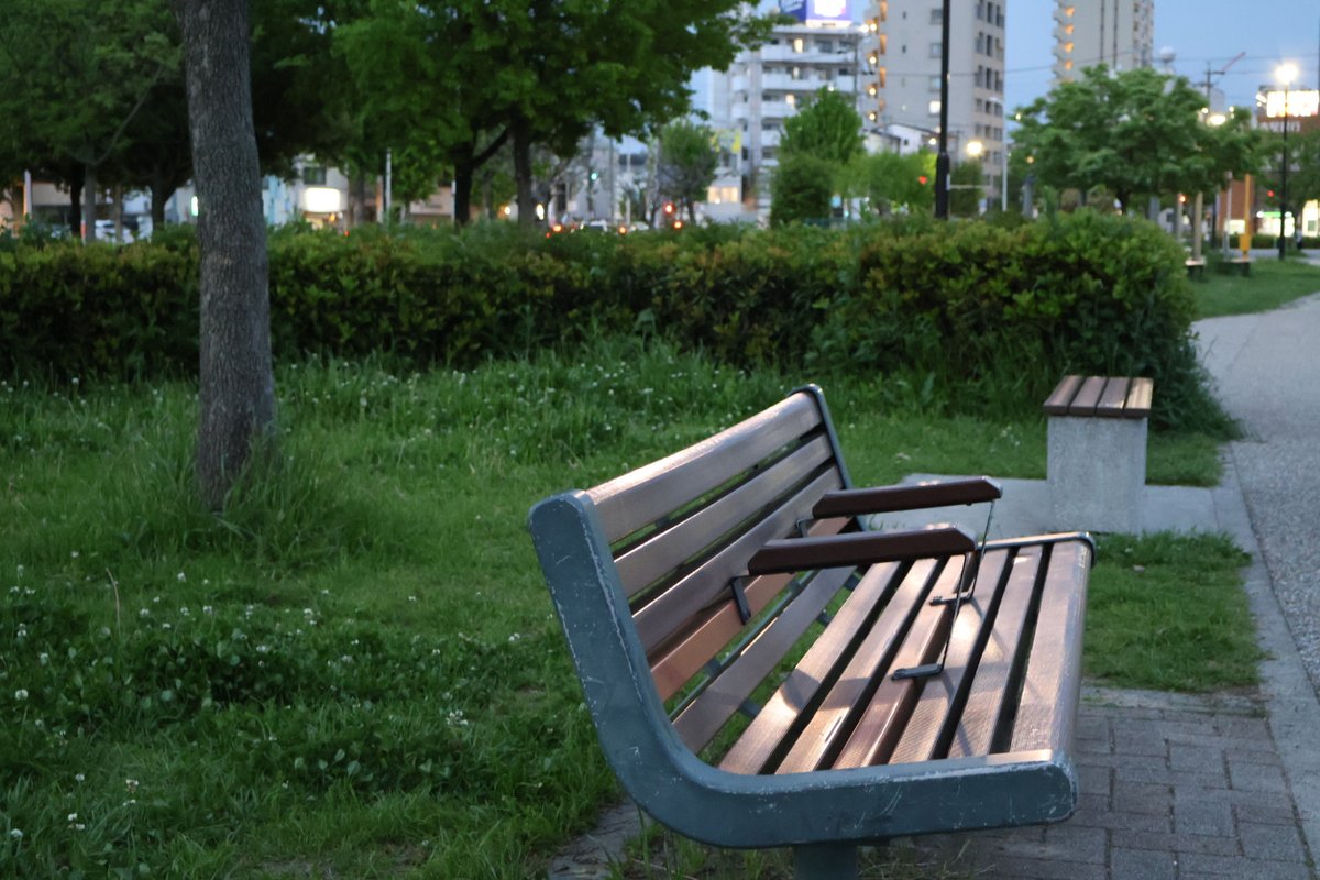 しまこ📷️ tweet media