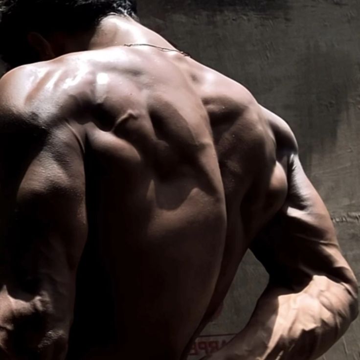 𝐌𝐚𝐱𝐢𝐦𝐢𝐥𝐥𝐢𝐚𝐧 𝐌𝐚𝐱𝐢𝐦𝐨𝐟 tweet media