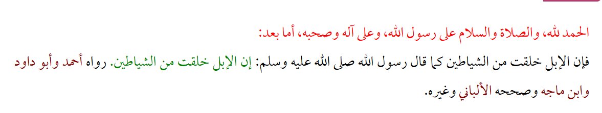 VAN ⴰⵎⵍ tweet media