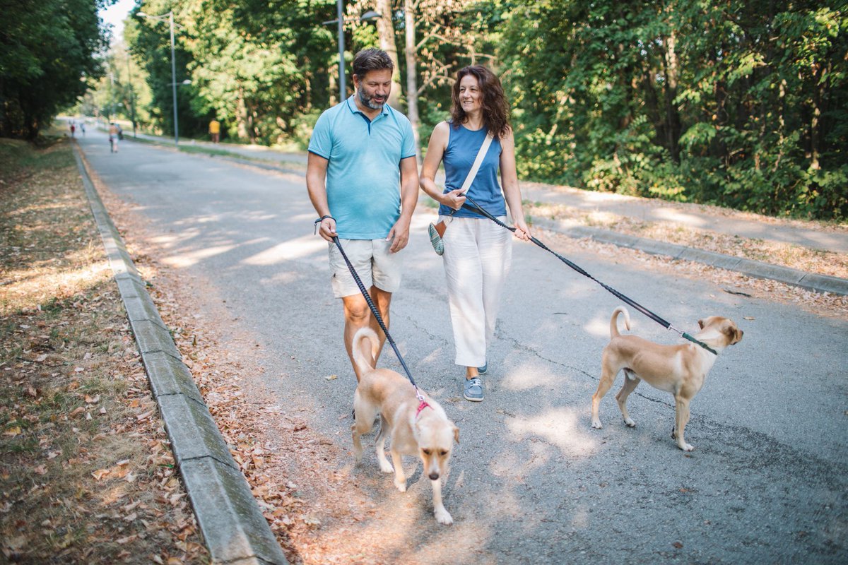 IVMA1's tweet photo. Spring is here. Get outside and stay active with your dog.

Check out our blog, Healthy Pets, Healthy People: Getting Active with Your Dog, to explore dog-friendly trails across Indiana:
https://t.co/7RkOy3jsO9
#IVMA #HealthyPets #PetHealth https://t.co/lqn16ner53