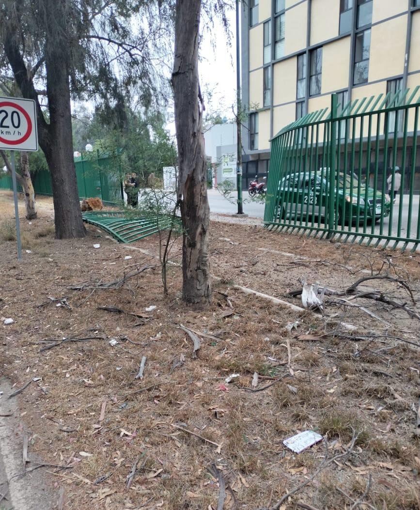 ExpresSanLuis's tweet image. #SLP Accidente de tránsito en zona del Parque Tangamanga II deja un fallecido | Servicios de emergencia y corporaciones de seguridad acudieron tras el impacto de un vehículo. shre.ink/LHar