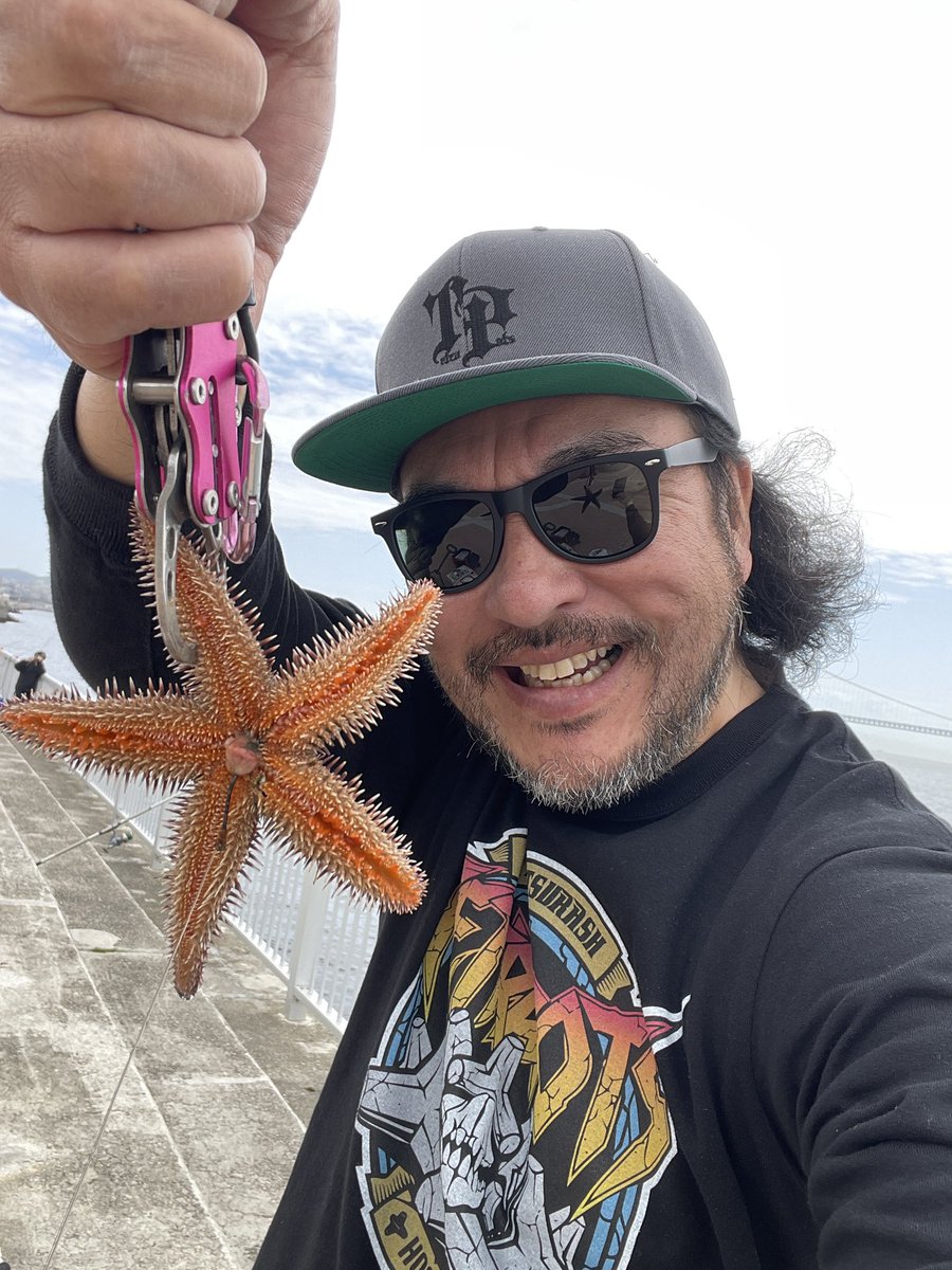 robizombie tweet media