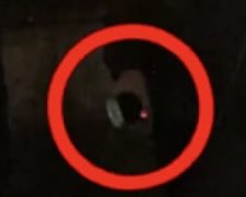 水谷伸之 tweet media