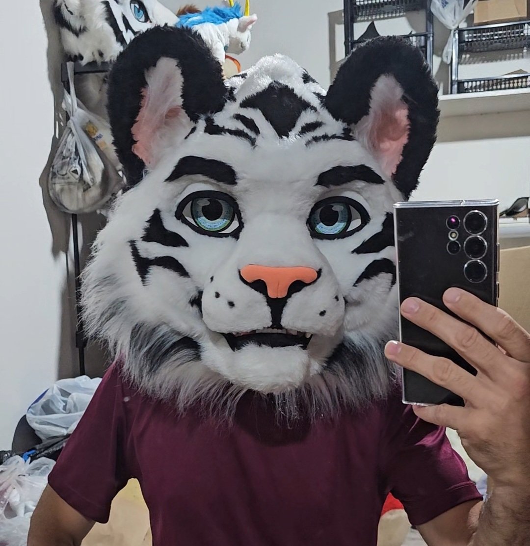 Zeng Tiger 🇧🇷 tweet media
