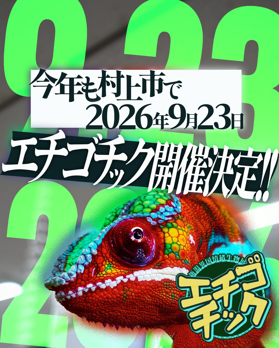 今年もやります！お楽しみに！！