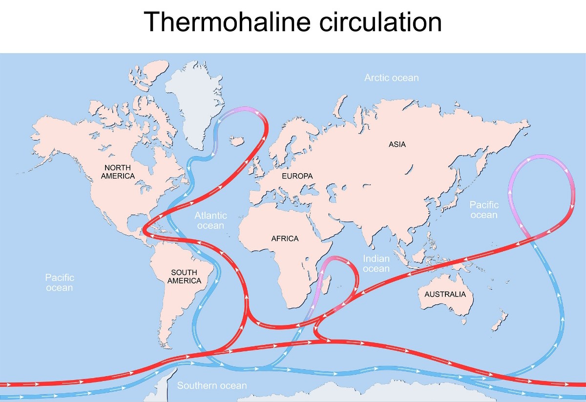 Peter Clack tweet media