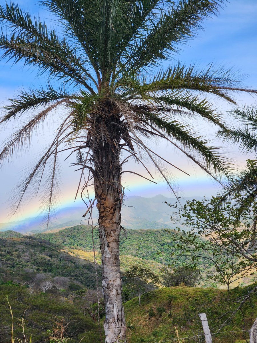 Greed&Corruption=Dispair tweet media