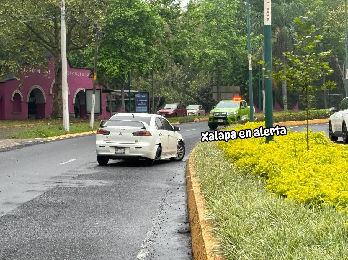 Peter Tweet tweet media